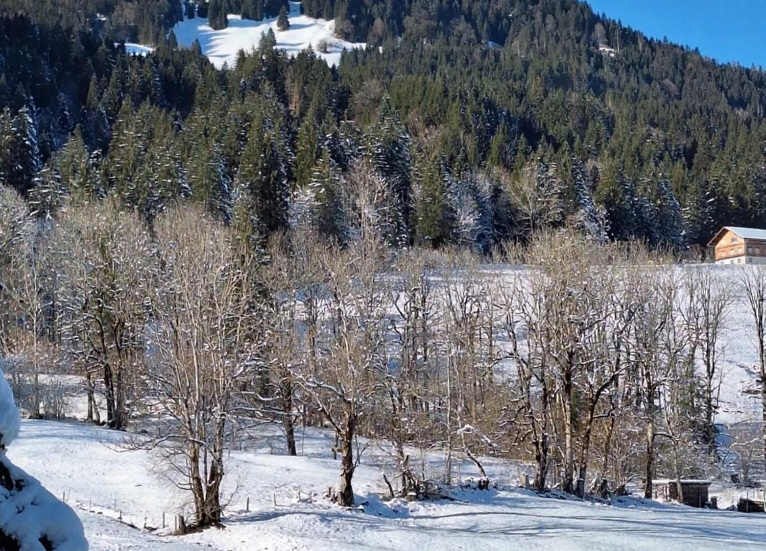 Bergliebe Apartment Kierwang